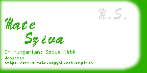 mate sziva business card