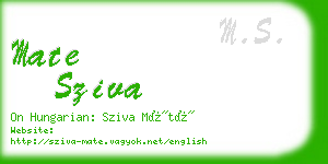 mate sziva business card